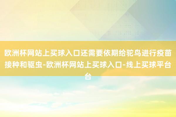 欧洲杯网站上买球入口还需要依期给驼鸟进行疫苗接种和驱虫-欧洲杯网站上买球入口-线上买球平台