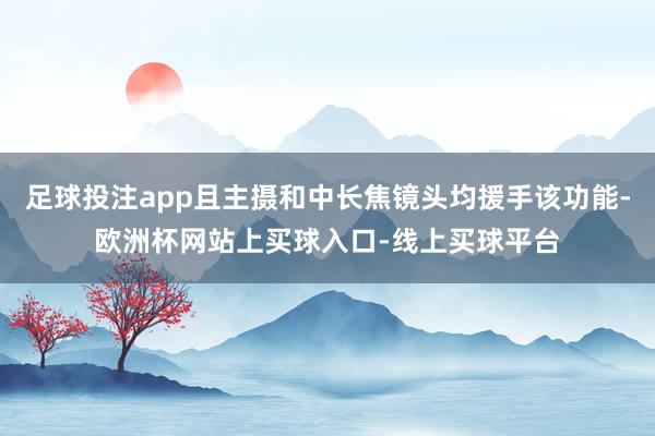 足球投注app且主摄和中长焦镜头均援手该功能-欧洲杯网站上买球入口-线上买球平台