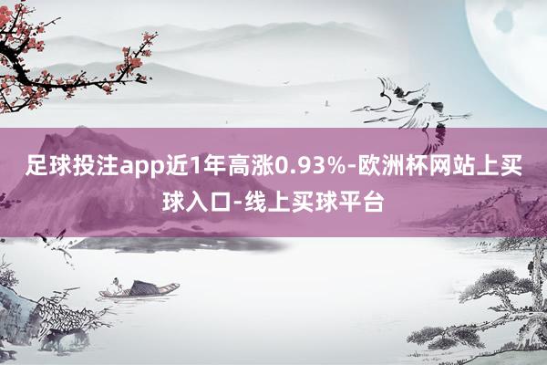 足球投注app近1年高涨0.93%-欧洲杯网站上买球入口-线上买球平台