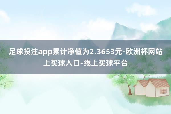 足球投注app累计净值为2.3653元-欧洲杯网站上买球入口-线上买球平台