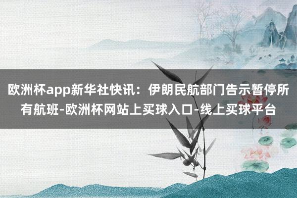 欧洲杯app新华社快讯：伊朗民航部门告示暂停所有航班-欧洲杯网站上买球入口-线上买球平台