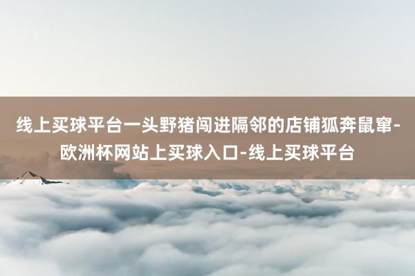 线上买球平台一头野猪闯进隔邻的店铺狐奔鼠窜-欧洲杯网站上买球入口-线上买球平台