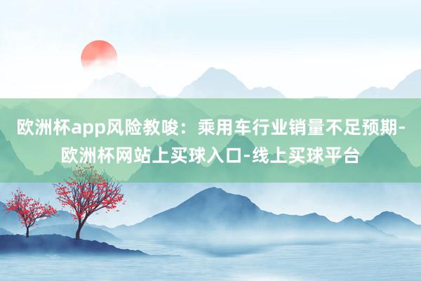 欧洲杯app风险教唆：乘用车行业销量不足预期-欧洲杯网站上买球入口-线上买球平台