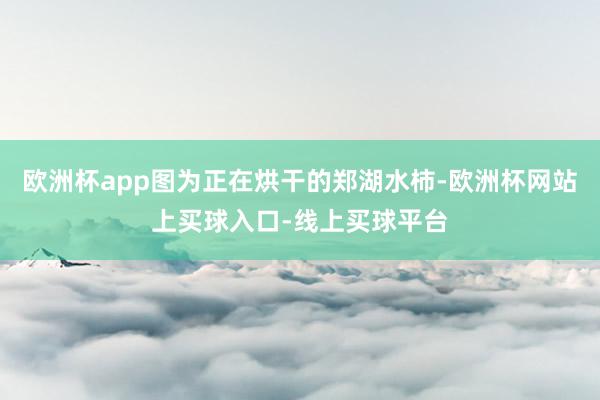 欧洲杯app图为正在烘干的郑湖水柿-欧洲杯网站上买球入口-线上买球平台