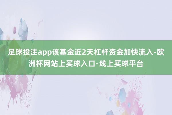 足球投注app该基金近2天杠杆资金加快流入-欧洲杯网站上买球入口-线上买球平台