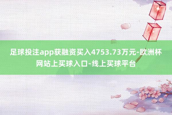 足球投注app获融资买入4753.73万元-欧洲杯网站上买球入口-线上买球平台