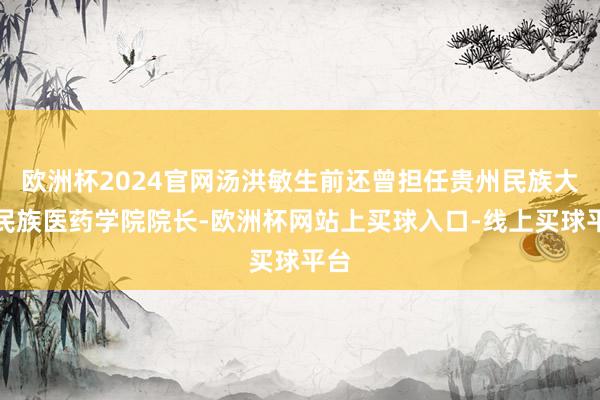 欧洲杯2024官网汤洪敏生前还曾担任贵州民族大学民族医药学院院长-欧洲杯网站上买球入口-线上买球平台