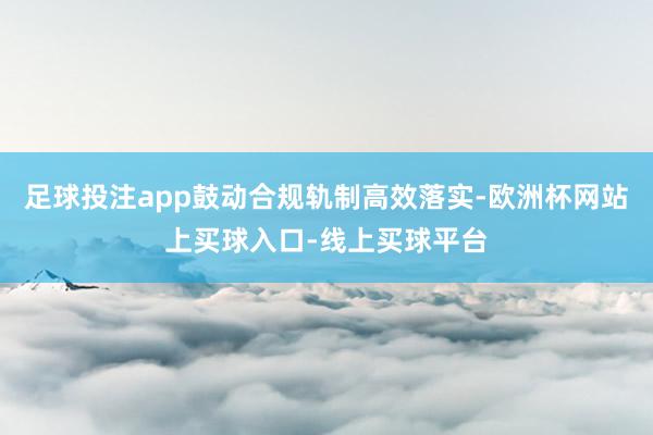 足球投注app鼓动合规轨制高效落实-欧洲杯网站上买球入口-线上买球平台