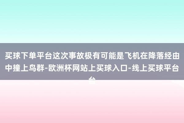 买球下单平台这次事故极有可能是飞机在降落经由中撞上鸟群-欧洲杯网站上买球入口-线上买球平台