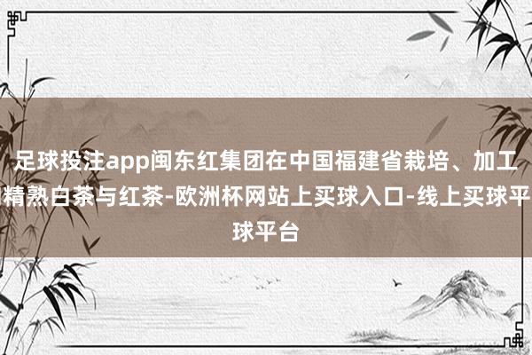 足球投注app闽东红集团在中国福建省栽培、加工和精熟白茶与红茶-欧洲杯网站上买球入口-线上买球平台