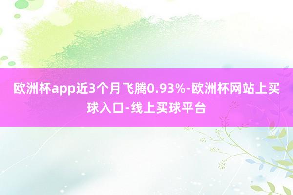 欧洲杯app近3个月飞腾0.93%-欧洲杯网站上买球入口-线上买球平台