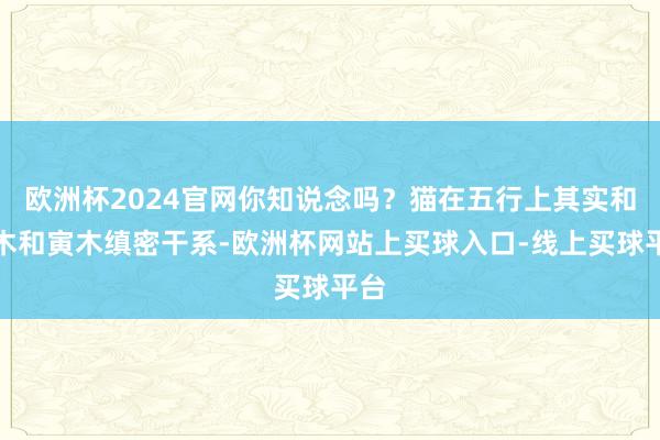 欧洲杯2024官网你知说念吗？猫在五行上其实和甲木和寅木缜密干系-欧洲杯网站上买球入口-线上买球平台